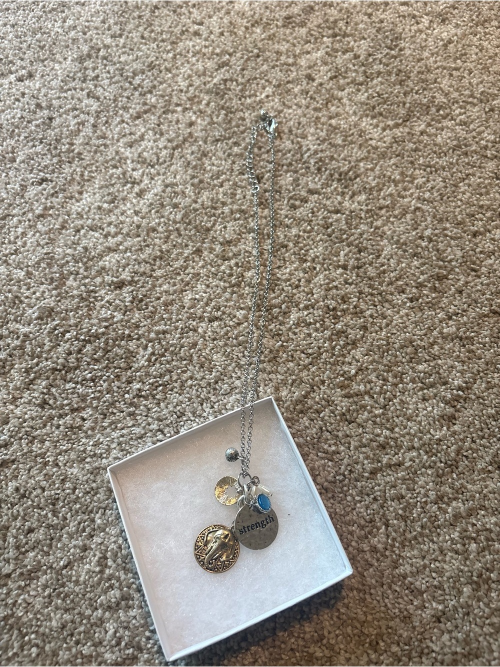 Stitch Fix Silver Charm Necklace